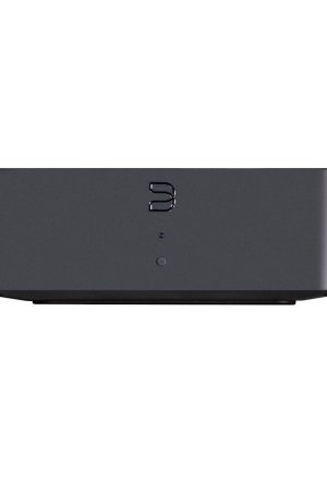 Bluesound Hub