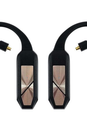 iFi Audio GO Pod